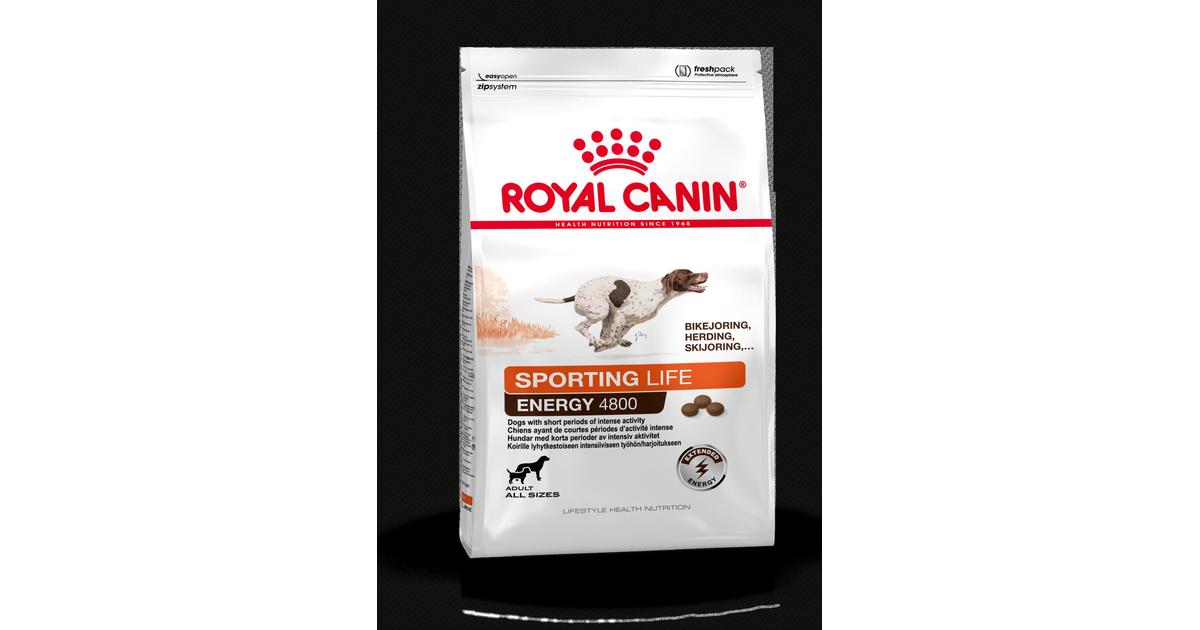 Royal canin sporting hotsell life energy 4800