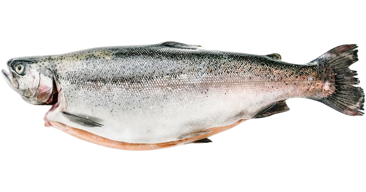 Finnish Freshfish Norjan Lohi S kaupat Ruoan Verkkokauppa finnish-freshfish-norjan-lohi-s-kaupat-ruoan-verkkokauppa