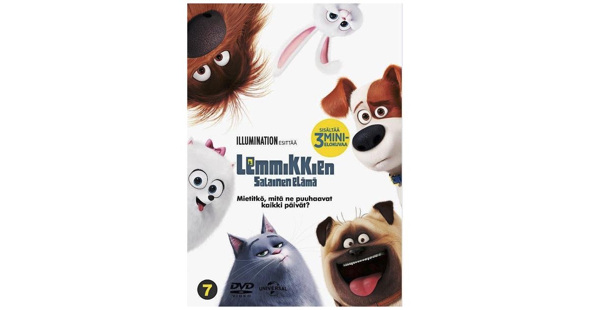 Lemmikkien salainen elämä DVD | S-kaupat ruoan verkkokauppa