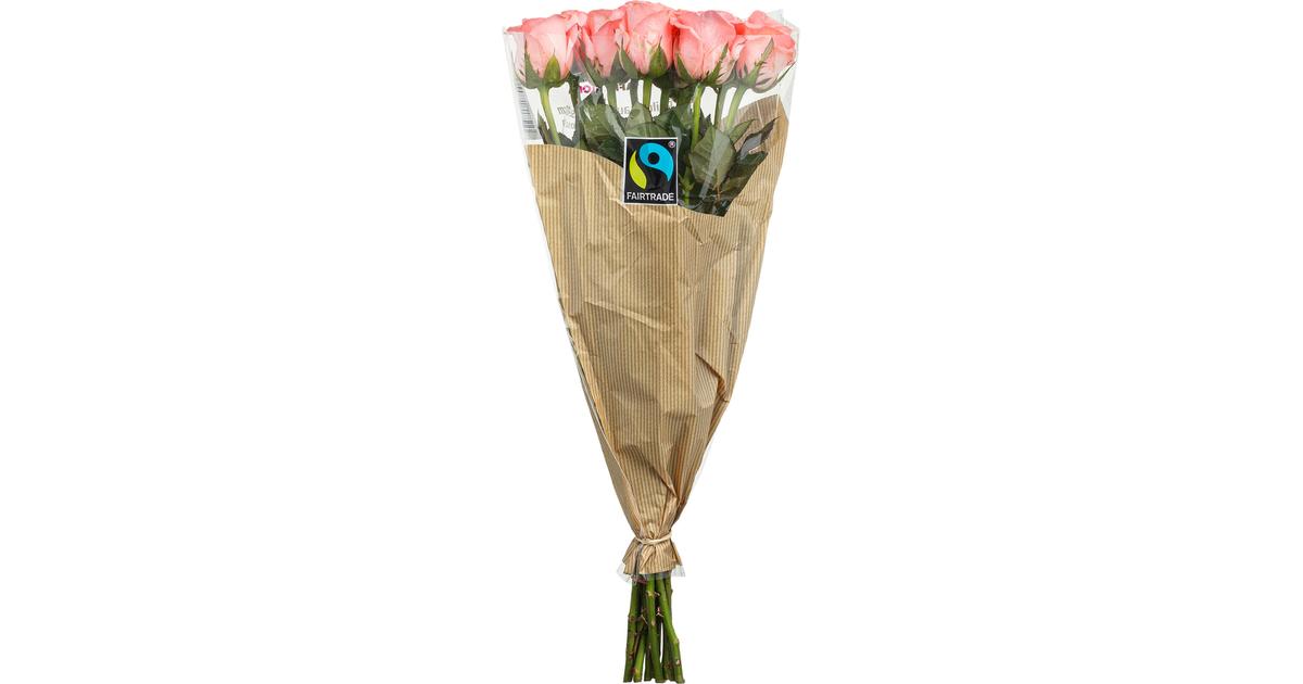 Afriflora Reilun Kaupan ruusu 10kpl, värilajitelma, 40cm | S-kaupat ruoan  verkkokauppa