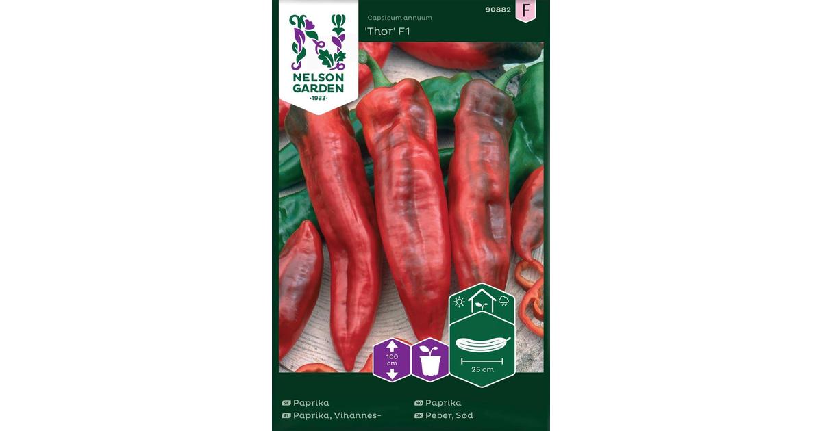 Nelson Garden Siemen Paprika, Vihannes-, Thor F1 | S-kaupat ruoan  verkkokauppa