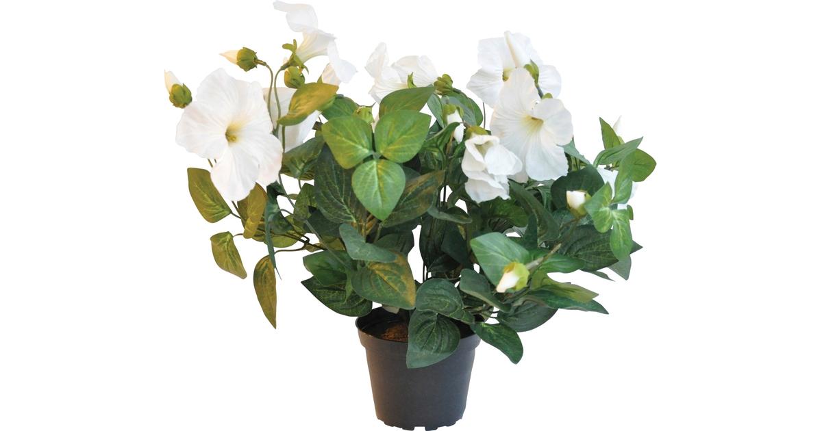 Finnmari Petunia ruukussa 30 cm valkoinen | S-kaupat ruoan verkkokauppa