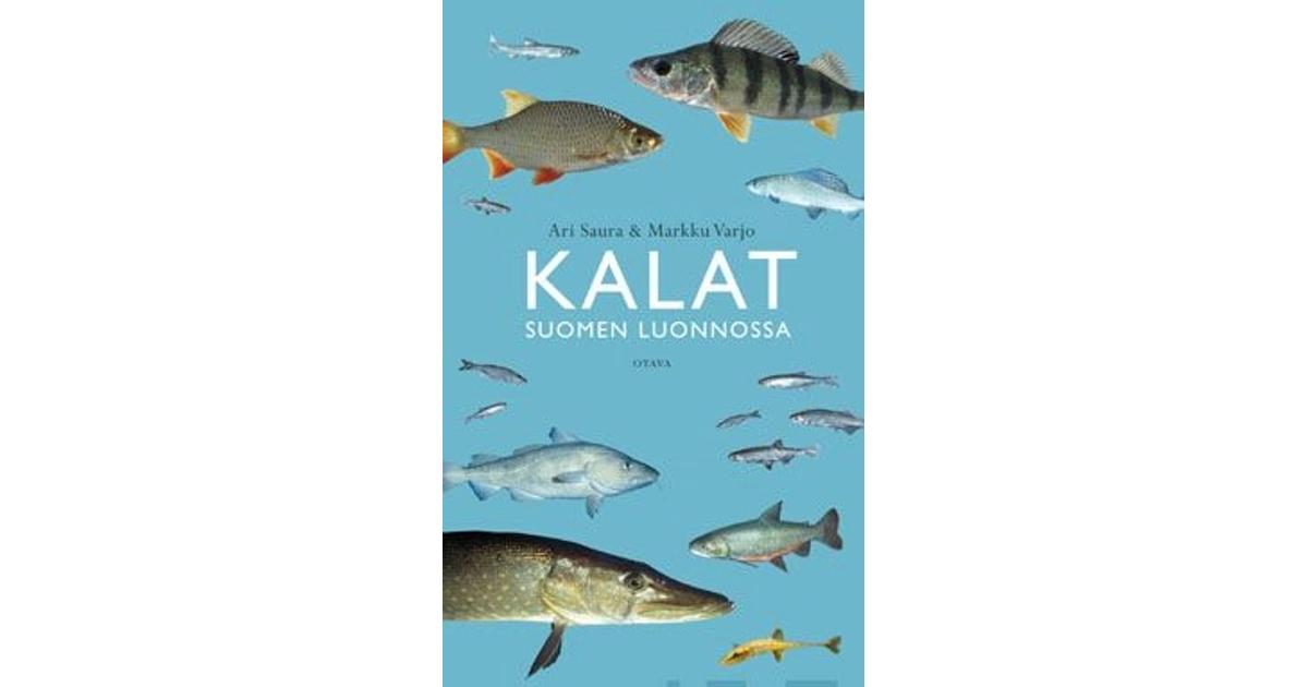 Saura, Kalat Suomen luonnossa | S-kaupat ruoan verkkokauppa