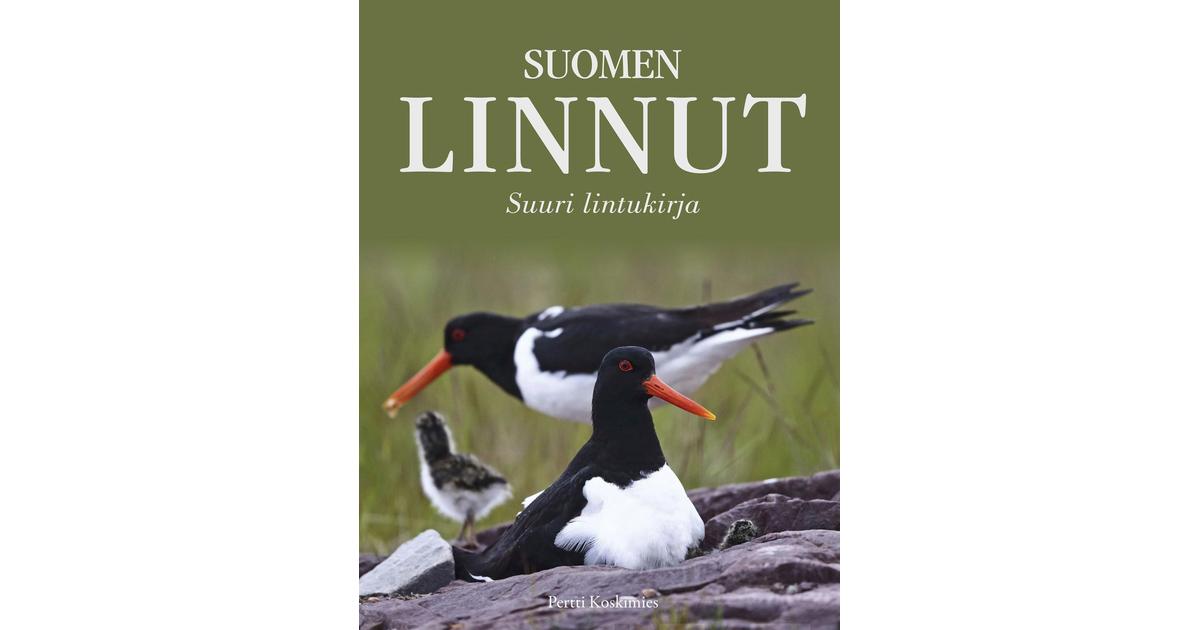 Suomen linnut | S-kaupat ruoan verkkokauppa