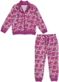 PATTERNLAB