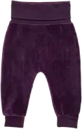 violetti