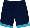19-3920tcx peacoat