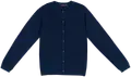 Navy Blazer
