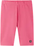 Soft Coral