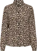 Pumice Stone