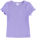 15-3817tcx lavender