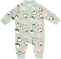 Iceberg Green
