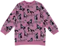 horse aop