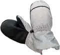 Silver Loppu varastosta 
