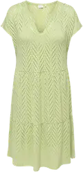 Winter Pear