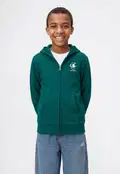 Green Loppu varastosta 