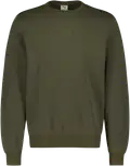 Dark Olive
