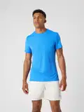 PALACE BLUE