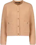 cameo rose