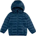 insignia blue