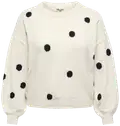 Birch Loppu varastosta 