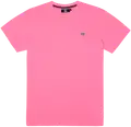 15-2216tcx sachet pink