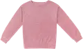 Lilas 16-1708TCX