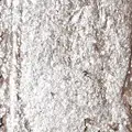 40 Silver Highlight