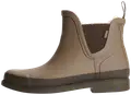 Shitake