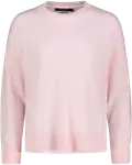 cameo rose