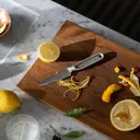 Fiskars All Steel vihannesveitsi