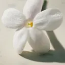 Chloé L'eau de Parfum Lumineuse tuoksu 30 ml