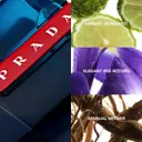 Prada Luna Rossa Ocean EdT tuoksu 100 ml