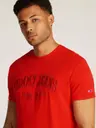 Tommy Jeans Tjm reg vintage varsity tee t-paita