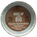 Born to Bio Organic Highlighter N°2 - Korostuspuuteri Doré 7g