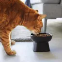 Yamazaki lemmikin kulho Tower musta