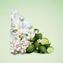 Paradoxe Virtual Flower EdP Refill 100 ml