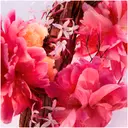 DIOR Miss Dior Parfum Roller-Pearl On-The-Go Fragrance - Floral, Fruity & Woody Notes 20ml