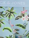 Jack&Jones Jacflower bird 3-pack trunk -alushousut