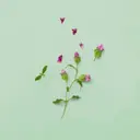 GUCCI Guilty Pour Homme Parfum tuoksu 50 ml