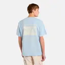 Dickies Companion script st-paita