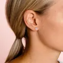 Cailap Hopeakorvakorut sydän, kirkas kivi