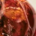 Chloé L'eau de Parfum Lumineuse tuoksu 30 ml