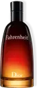 DIOR Fahrenheit EdT tuoksu 100 ml