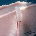 La Mer The Lip Polish huulihoito 15 g