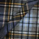 Kashmirkaulaliina 422005