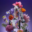 KVD Beauty Queen of Poisons Lip Set joulupakkaus