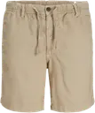 Jack & Jones Jpstjaiden shortsit