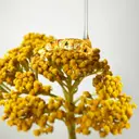 Origins Plantscription™ Wrinkle Correction Eye Cream with Encapsulated Retinol silmänympärysvoide 15 ml