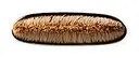 MAC Flat Definer Brush 212 sivellin